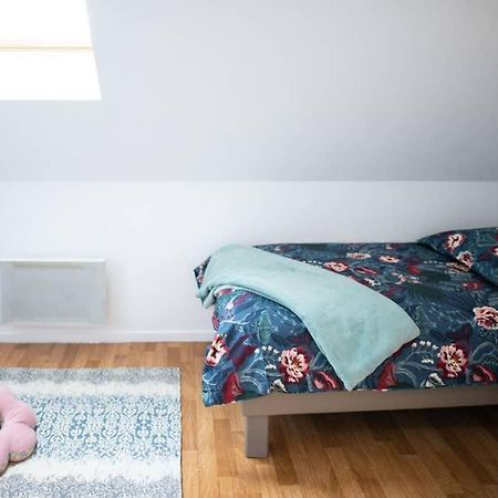 Duplex Tout Equipe, Proche Centre-Ville Colmar, Parking Ngoại thất bức ảnh
