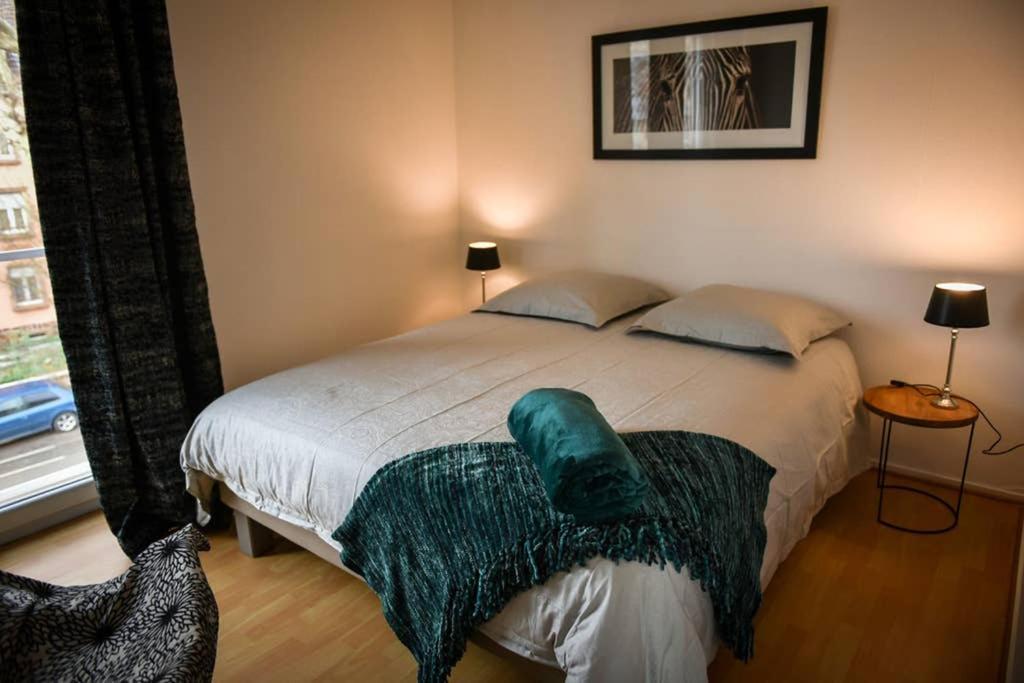 Duplex Tout Equipe, Proche Centre-Ville Colmar, Parking Ngoại thất bức ảnh